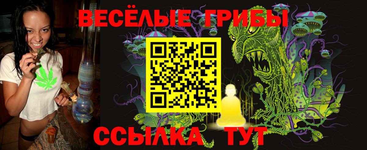 Псилоцибиновые грибы Cubensis  Вход с VPN  Сердобск 